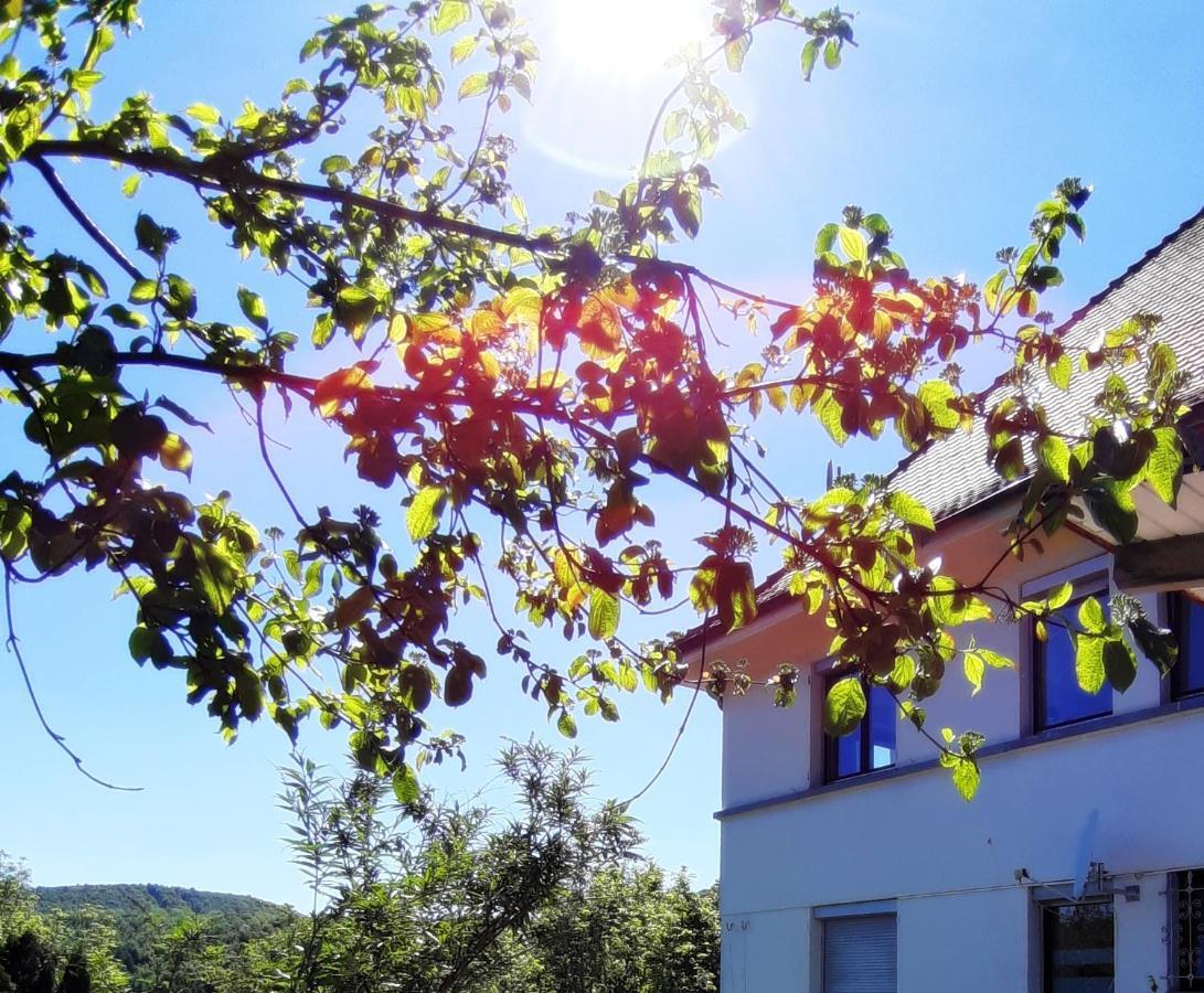 Ferienwohnung Albstadt Panorama Ngoại thất bức ảnh